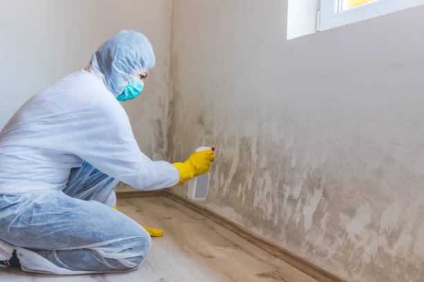 Bathroom Mold Removal assessment in Morton Grove bathroom